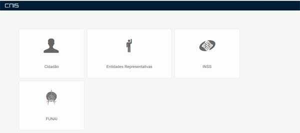Site do Cadastro Nacional de Informações Sociais (Cnis)